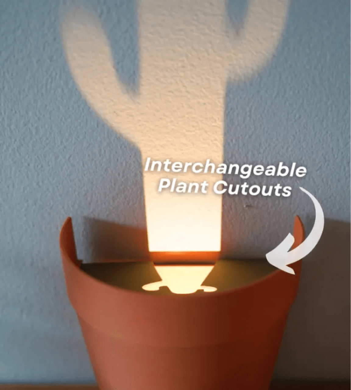 Plant Pot Light Projections