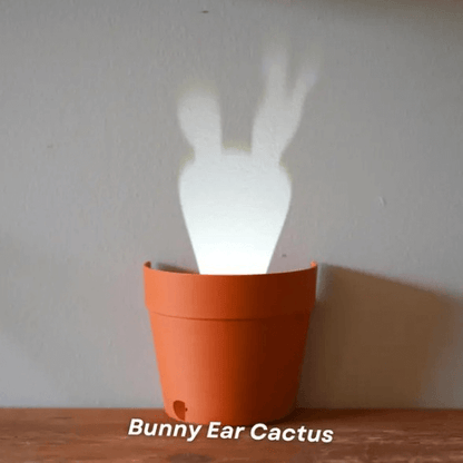 Plant Pot Light Projections