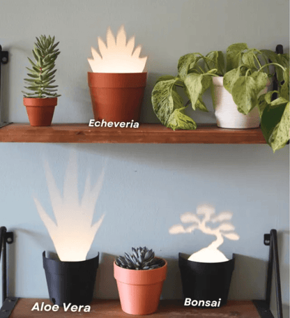 Plant Pot Light Projections