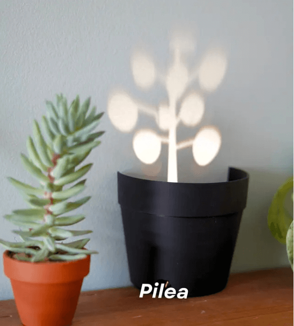 Plant Pot Light Projections