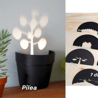 Plant Pot Light Projections