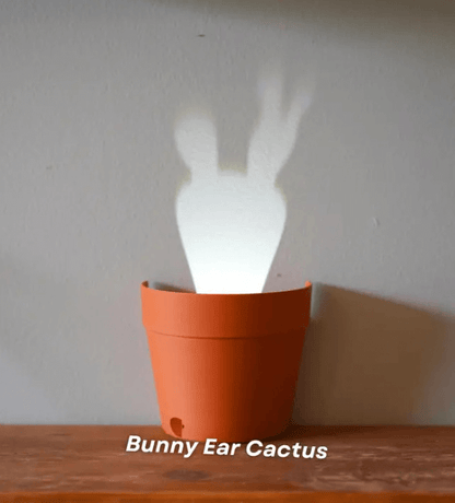 Plant Pot Light Projections