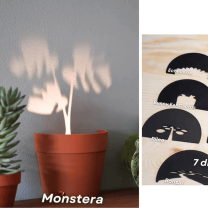 Plant Pot Light Projections