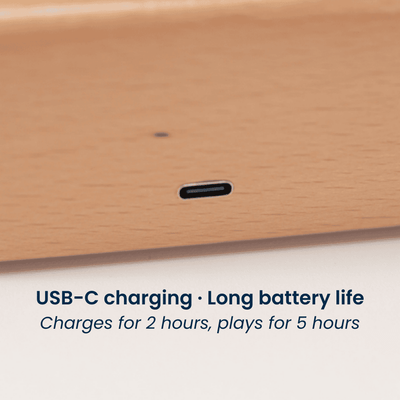 MarinerPoet™ Handcrafted Wooden Jellyfish Automaton(Big)