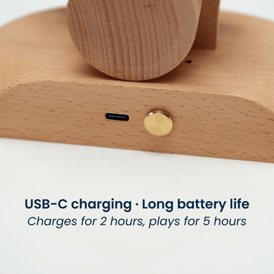 MarinerPoet™ Handcrafted Wooden Dolphin Automaton