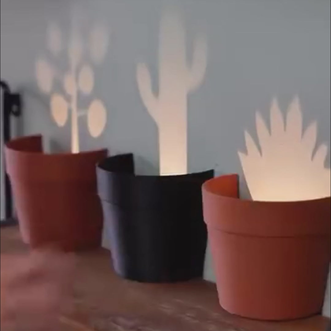 Plant Pot Light Projections